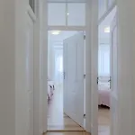 Real Flamingo